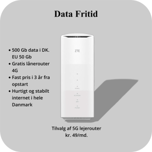 Data Fritid abonnement